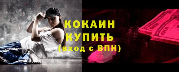 spice Аркадак