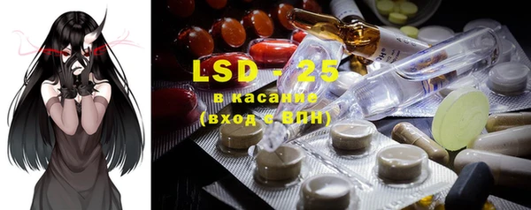 spice Аркадак