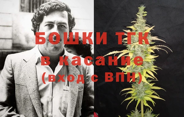 spice Аркадак